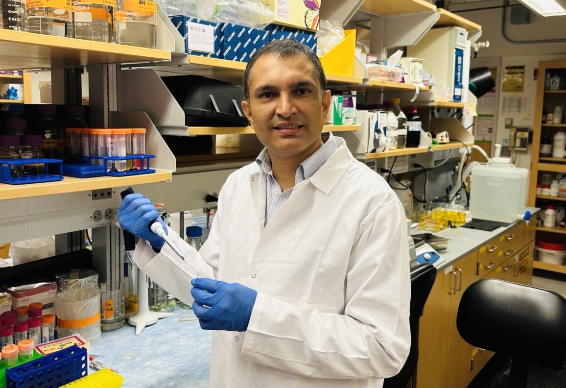 Dr. Koirala Receives NSF Career Award for Structural and Mechanistic Studies of RNA-mediated Enteroviral Genome Replication